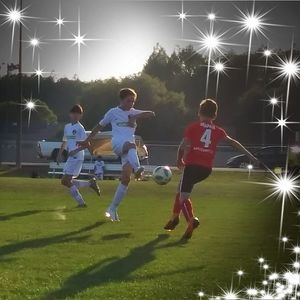 Meet your Posher, Leigh ann